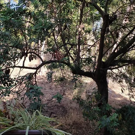 Apartament Fabulosa Casa Del Arbol Malaga