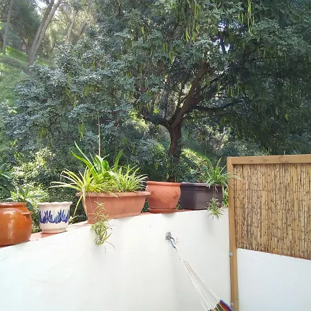 Fabulosa Casa Del Arbol Malaga