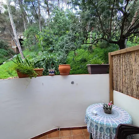 Fabulosa Casa Del Arbol